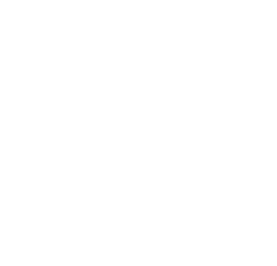 Dilusso White Logo